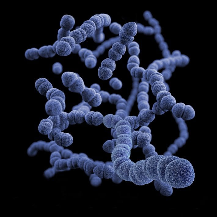Vence tu Candidiasis