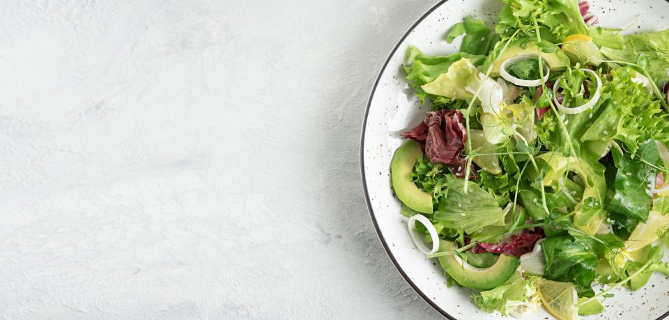 alimentacion ovolactovegetariana