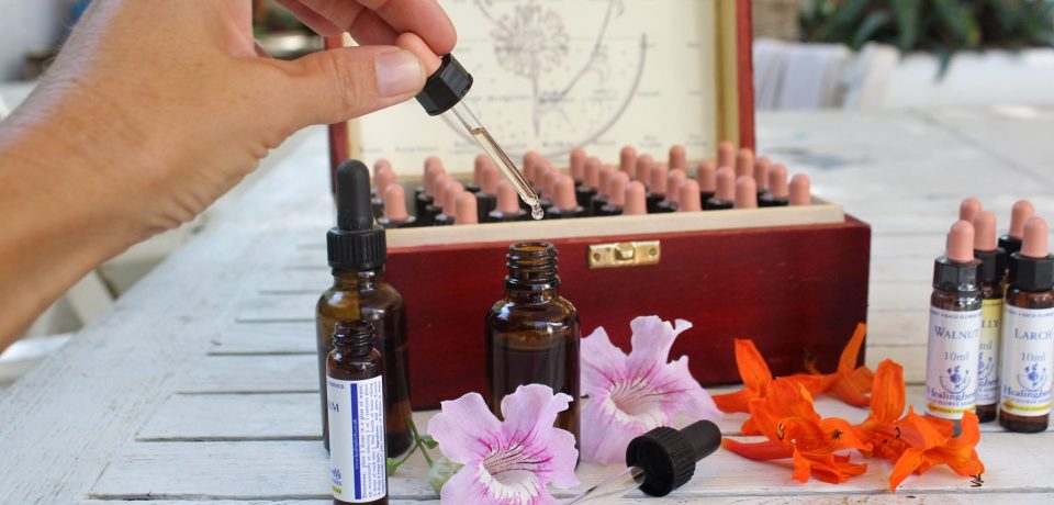 flores de Bach en Barcelona