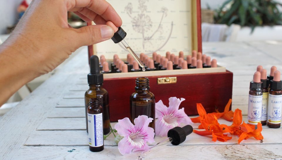 flores de Bach en Barcelona