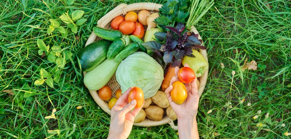 alimentos antiinflamatorios