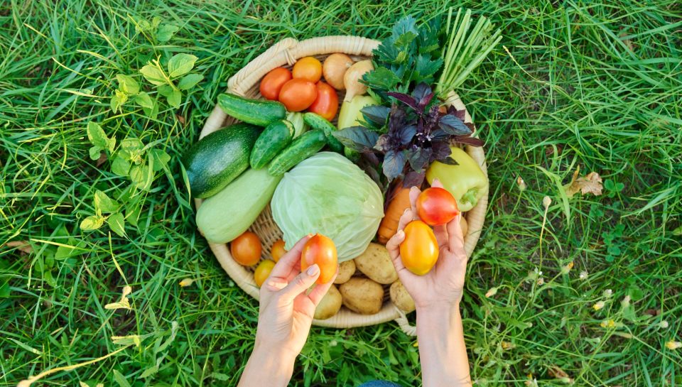 alimentos antiinflamatorios