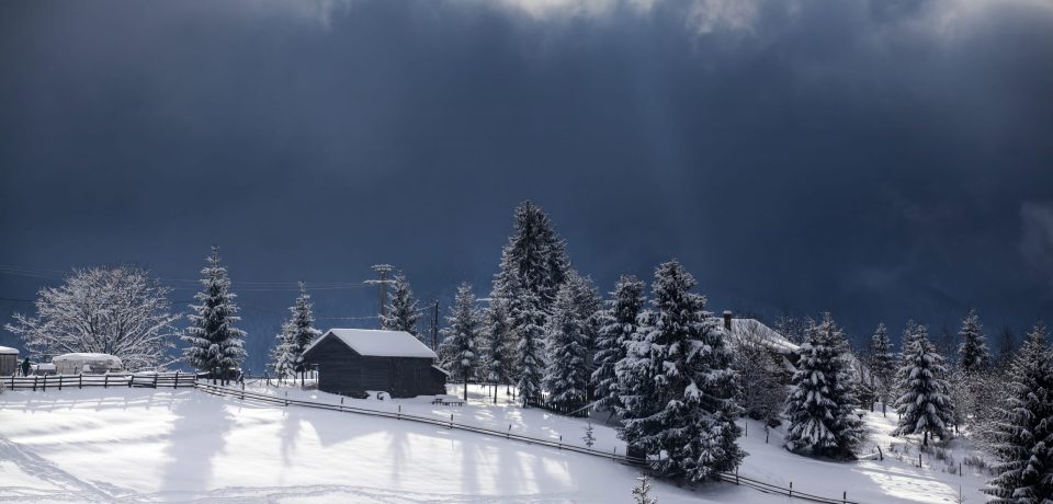 consejos evitar resfriados