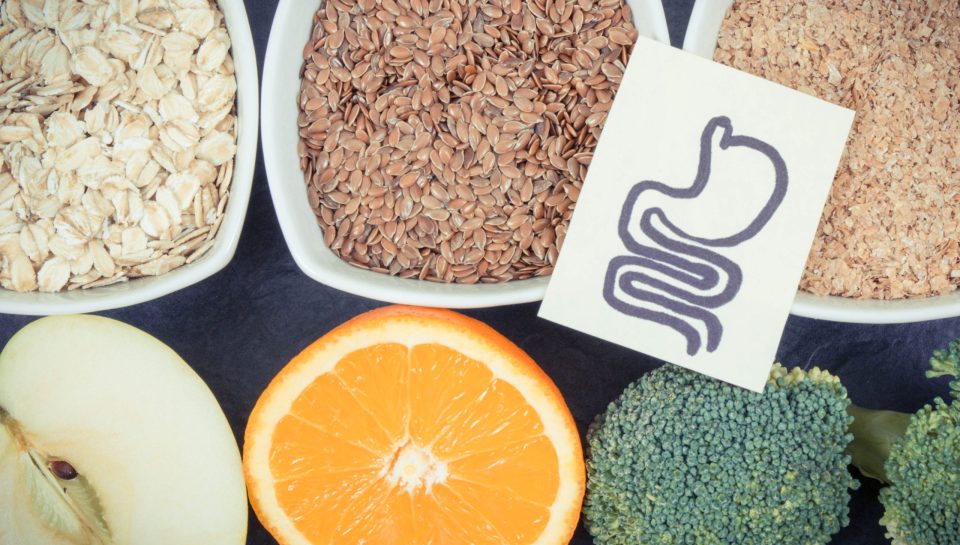 Cándidas Intestinales: Los Síntomas Silenciosos que Nadie Te Explica